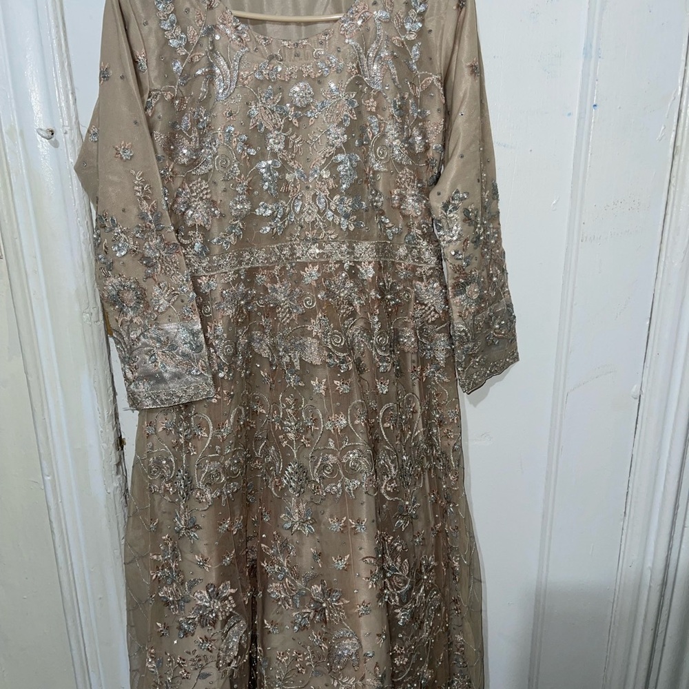 Pakistani/ Indian wedding dress